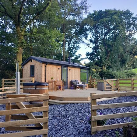 Ty Nant Gwenyn Villa Llanymawddwy Exteriör bild